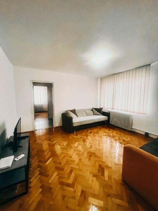 Ultracentral Big Flat Near The Opera Square P17 Τιμισοάρα Εξωτερικό φωτογραφία