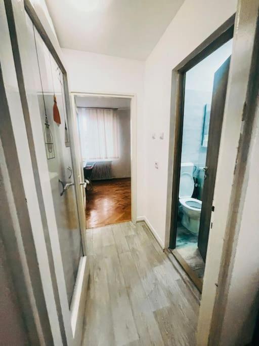 Ultracentral Big Flat Near The Opera Square P17 Τιμισοάρα Εξωτερικό φωτογραφία
