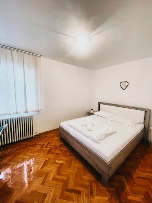 Ultracentral Big Flat Near The Opera Square P17 Τιμισοάρα Εξωτερικό φωτογραφία