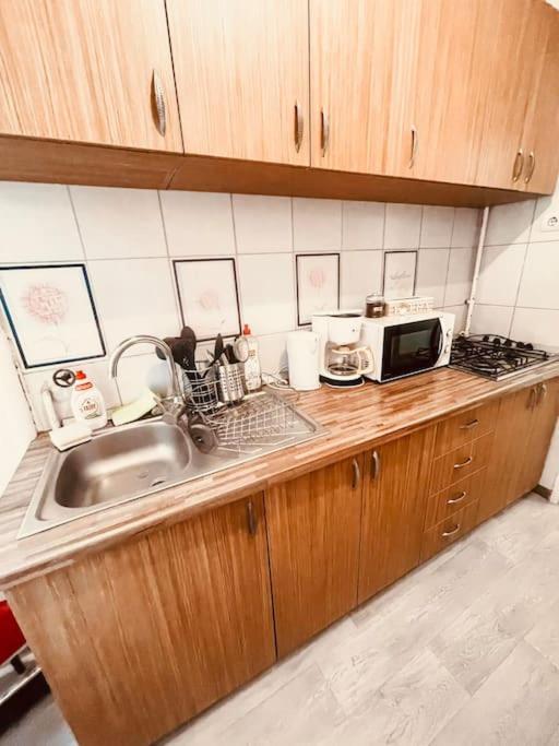 Ultracentral Big Flat Near The Opera Square P17 Τιμισοάρα Εξωτερικό φωτογραφία