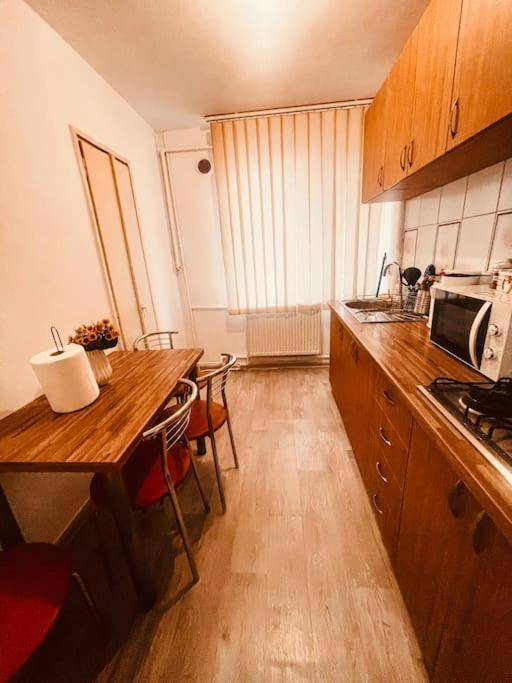 Ultracentral Big Flat Near The Opera Square P17 Τιμισοάρα Εξωτερικό φωτογραφία