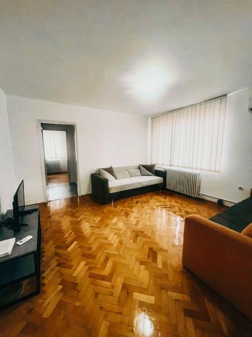 Ultracentral Big Flat Near The Opera Square P17 Τιμισοάρα Εξωτερικό φωτογραφία