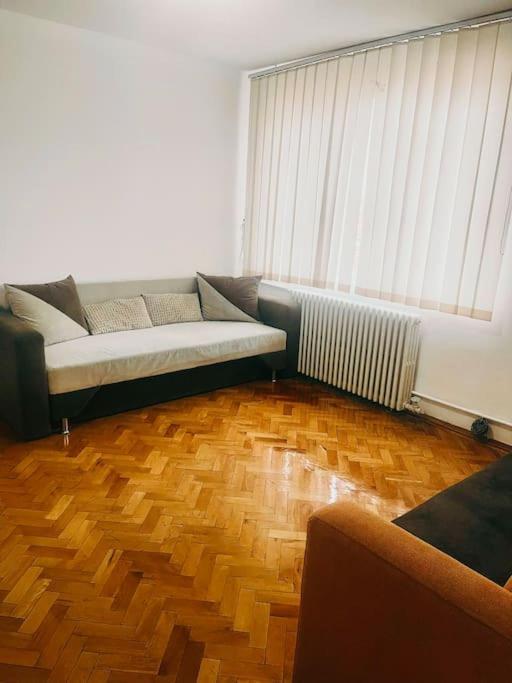 Ultracentral Big Flat Near The Opera Square P17 Τιμισοάρα Εξωτερικό φωτογραφία