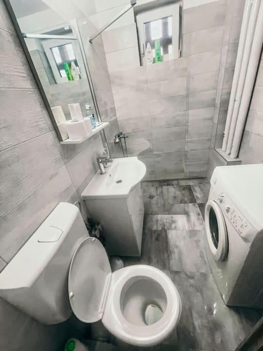 Ultracentral Big Flat Near The Opera Square P17 Τιμισοάρα Εξωτερικό φωτογραφία