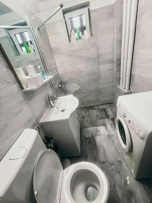 Ultracentral Big Flat Near The Opera Square P17 Τιμισοάρα Εξωτερικό φωτογραφία