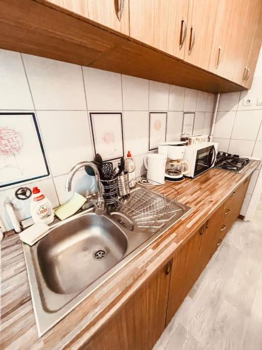 Ultracentral Big Flat Near The Opera Square P17 Τιμισοάρα Εξωτερικό φωτογραφία