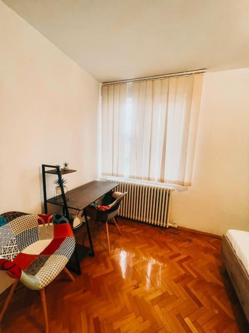 Ultracentral Big Flat Near The Opera Square P17 Τιμισοάρα Εξωτερικό φωτογραφία