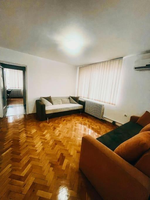 Ultracentral Big Flat Near The Opera Square P17 Τιμισοάρα Εξωτερικό φωτογραφία