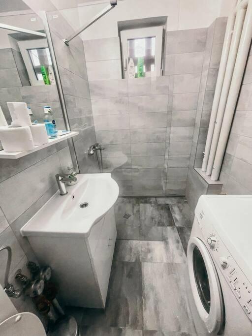 Ultracentral Big Flat Near The Opera Square P17 Τιμισοάρα Εξωτερικό φωτογραφία