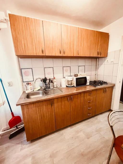 Ultracentral Big Flat Near The Opera Square P17 Τιμισοάρα Εξωτερικό φωτογραφία